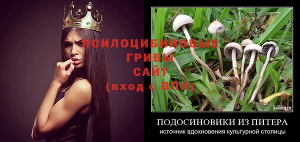 бутират Алексин