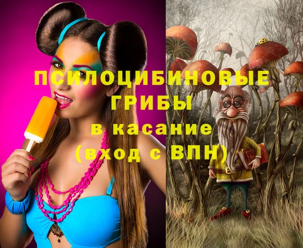 бутират Алексин
