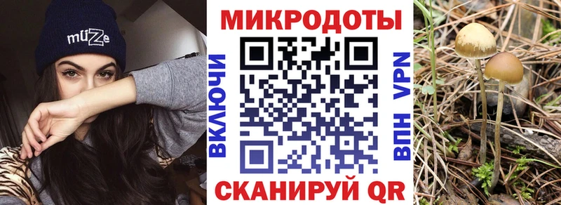 Галлюциногенные грибы Psilocybine cubensis  Южно-Сухокумск 